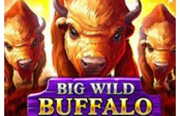 Big Wild Buffalo