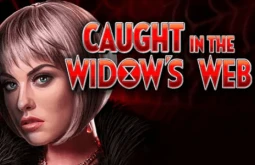 Caught in the Widow's Web